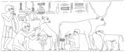 Thumbnail of 4.5. Milking a cow